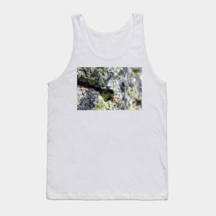 Mossy Stones Tank Top